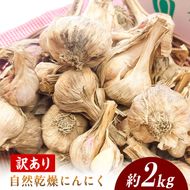 【訳あり】 平戸にんにく 約2kg 乾燥 ニンニク 平戸にんにく 訳アリ わけアリ 不揃い 型崩れ 自然乾燥 大量 大容量 常温 配送 数量限定 高知県産 高知県 土佐市【株式会社　植田ファーム】[BQAT007]
