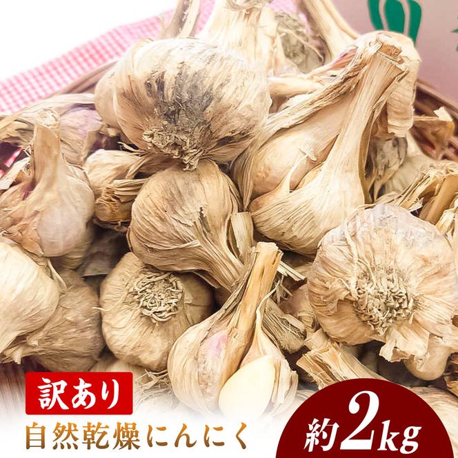 【訳あり】 平戸にんにく 約2kg 乾燥 ニンニク 平戸にんにく 訳アリ わけアリ 不揃い 型崩れ 自然乾燥 大量 大容量 常温 配送 数量限定 高知県産 高知県 土佐市【株式会社　植田ファーム】[BQAT007]