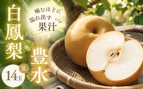 白鳳梨（豊水）3L 14玉 ※お届けは9月上旬から9月中旬頃の予定です【hkns0001】