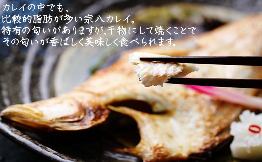 【定期便】計3回 軽石干し北海道産宗八カレイ1kg（5尾入り）