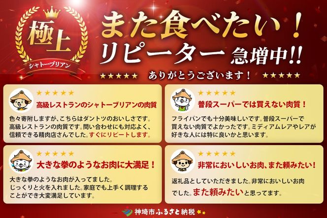 【スピード発送】佐賀牛ヒレシャトーブリアン 200g×10枚 隔月定期便2回【化粧箱入り シャトーブリアン ヒレ肉 厚切りステーキ 黒毛和牛 ブランド牛 国産和牛 ふるさと納税 丸宗ミート 神埼市】(H065228)