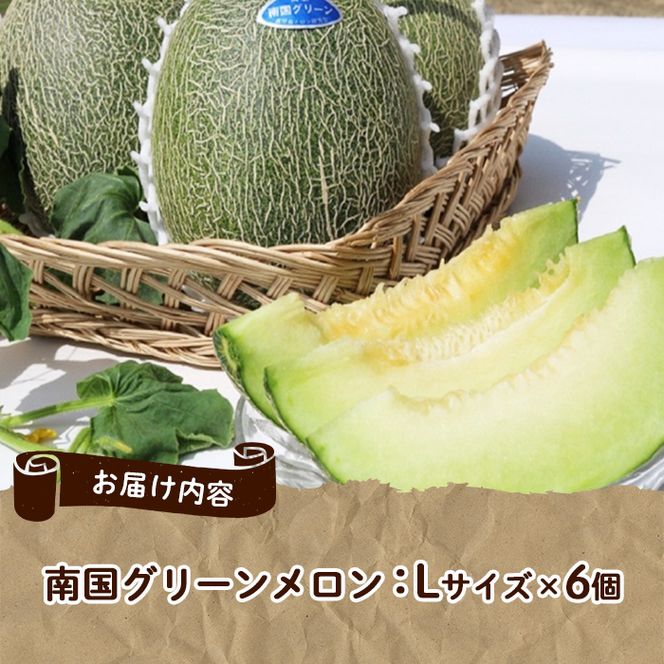 ＜先行予約受付中！2026年6月以降順次発送予定＞鹿児島県産！南国グリーンメロン(Lサイズ×6個) メロン めろん 果物 スイーツ デザート フルーツ 【あくね旬の店いきいき館】akn015-20