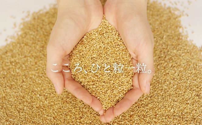 創業明治19年　ごま油の老舗「九鬼」　いつもの味を上質に変えるごま油。九鬼産業 ごま油3種セット-[A127]