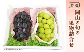 ぶどう 2026年 先行予約 特選 岡山の旬の果物詰合せ-4 シャインマスカット 晴王 ブドウ  葡萄  岡山県産 国産 フルーツ 果物 ギフト ピオーネ 各1房500g 種なし ジューシーな果汁 