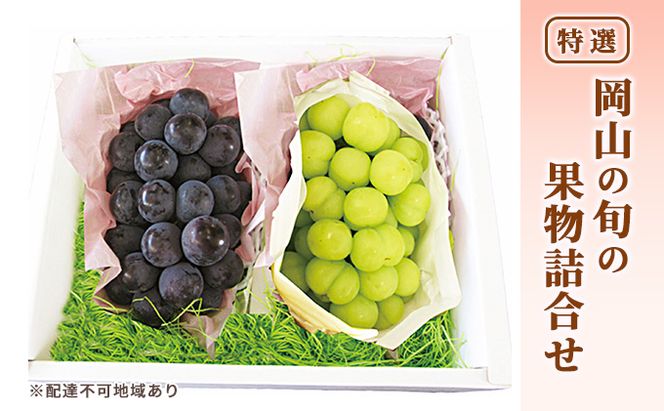 ぶどう 2026年 先行予約 特選 岡山の旬の果物詰合せ-4 シャインマスカット 晴王 ブドウ  葡萄  岡山県産 国産 フルーツ 果物 ギフト ピオーネ 各1房500g 種なし ジューシーな果汁 