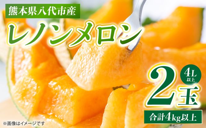 レノンメロン 2玉 4L以上（合計4kg以上）メロン 赤肉メロン 果物 果実 くだもの フルーツ 熊本県 八代市