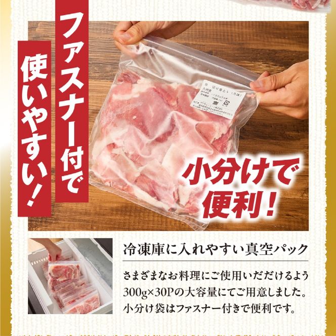 九州産豚小間切れ 9kg 300g×30P（国産 豚 豚肉 小間切れ 豚小間 豚こま 切り落とし 真空 小分け 冷凍 宮崎県 小林市 ）