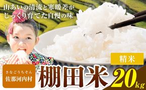 【先行予約】【CF】清流と寒暖差が生む村自慢の棚田米 精米 20kg《2026年11月以降順次出荷》 米---sanagouchi_lcl_138_20kg---