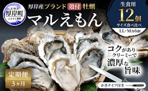 【 3ヵ月 定期便 】 厚岸産 ブランド 殻付カキ マルえもん 生食用 サイズ食べ比べ 12個 (LL・M各6個)[ 魚貝類 生牡蠣 かき 牡蠣 カキ 生ガキ 食べ比べ ]