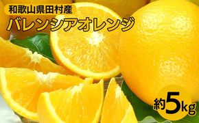 バレンシアオレンジ［約5kg］湯浅町田村産 春みかん 春柑橘 【果実サイズおまかせ】｜和歌山県産 柑橘 フルーツ 紀伊国屋文左衛門本舗