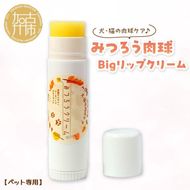 【ペット専用】みつろう肉球クリーム Bigリップクリーム 《 ペットグッズ 犬 ケア みつろう リップクリーム クリーム ホホバオイル 》【2400N13310】