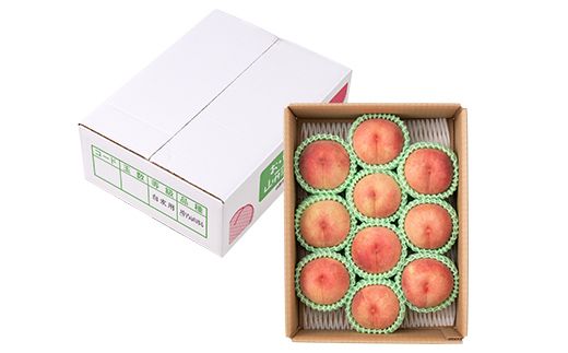 FYN6-073 ≪2027年先行予約≫ ご家庭用 山形県産 品種おまかせ 白桃 約3kg（6～11玉） 2027年8月中旬から順次発送 柔らかくなる桃 はくとう 桃 もも モモ 果物 くだもの 夏果実 フルーツ 訳あり 農業者支援 家庭用 自宅用 産地直送 山形県 西川町 月山