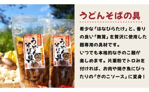 きのこ の 加工品 詰め合わせ 5点セット （茨城県共通返礼品：城里町） きのこミックス 野菜 水煮 国産 きのこ ご飯の素 国産 うどん そばの具 乾燥 しいたけ 乾燥 きくらげ バラエティ セット 乾燥きのこ  [DY004us]
