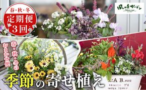 【定期便3回】季節の寄せ植え（ガーデニング ギフト寄せ植え 贈答用寄せ植え 母の日 誕生日 記念 定期便）