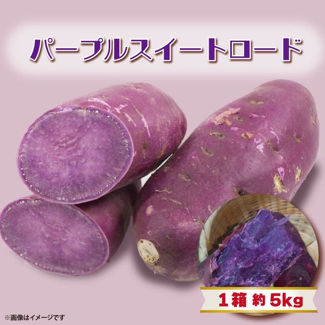 【2025年11月より順次発送】2025年度産 パープルスイートロード 約5kg｜さつまいも 芋 お芋 パープルスイートロード 渋谷農園 先行予約 茨城県 行方市(BZ-9)