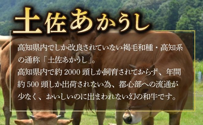 土佐あかうしと四万十ポークのハンバーグ　１５個セット　yj072