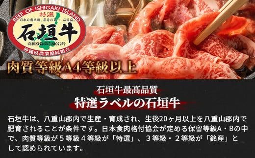 石垣牛すきしゃぶ600g＋焼肉400gセット（いしなぎ屋）【 特選肉 肉 高級 黒毛和牛 和牛 牛 】AB-8