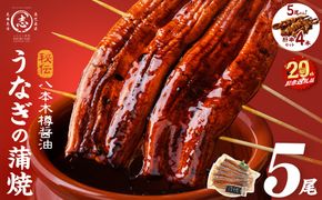 【志布志市制20周年記念】【数量限定】国産 八本木樽鰻の蒲焼(160g以上×5尾) うなぎ肝串4本セット 【ポータル限定】 b5-192-km