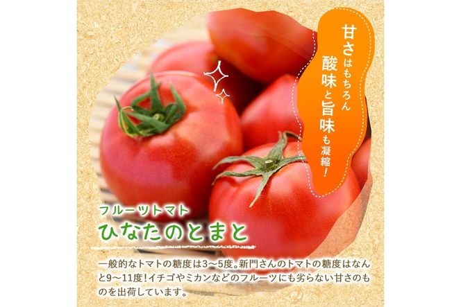 ＜先行予約受付中！2026年2月から順次発送予定＞ひなたのとまと(計3.3kg・1.1kg×3箱)トマト フルーツトマト 糖度 9度 以上 野菜 旬野菜 冷蔵 門川町産【A-5】【新門トマト農園】