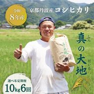 定期便 令和8年産 京都丹波産 コシヒカリ 10kg 6回 京都 お米 米 令和8年 10キロ 新米 新米26