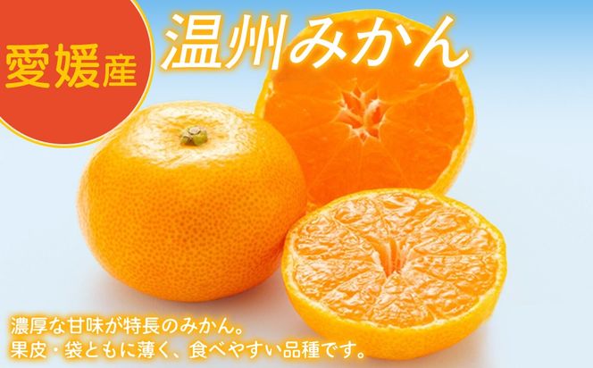 Premiumみかんジュース（2本セット）※北海道・沖縄・離島への配送不可 IKTAT002 