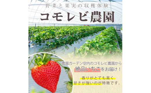 ＜先行予約受付中！2026年12月上旬以降順次発送予定＞凍眠君使用！農園ガーデン空産冷凍いちご(計1.8kg・600g×3P)国産 鹿児島県産 いちご イチゴ 苺 恋みのり 紅ほっぺ かおり野 フルーツ 果物 くだもの おやつ 冷凍 凍眠 フローズン 自社農園【農園ガーデン空】akn026-04