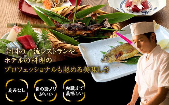若あゆ（冷蔵配送）1kg（10尾～15尾）OGATA養殖技術研究所 南紀白浜 304018_FA01