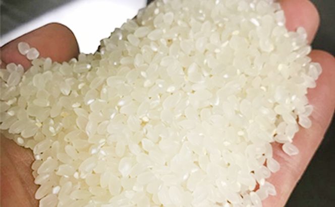 【数量限定！】あま！うま！ミネラル栽培の魚沼産従来コシヒカリ精米5kg (5kg×1袋)