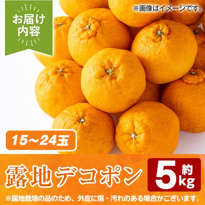 ＜先行予約受付中！2027年3月上旬以降順次発送予定＞ 鹿児島県産！露地 デコポン (約5kg・15～24玉) 果物 冬 春 柑橘 みかん 蜜柑 フルーツ 期間限定 数量限定 【鹿児島いずみ農業協同組合】akn018-10