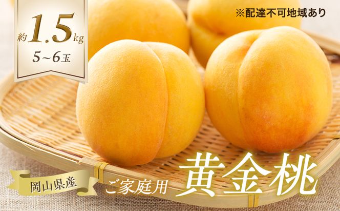 桃 2026年 先行予約 ご家庭用 黄金桃 5～6玉 合計約1.5kg もも モモ 岡山県産 国産 フルーツ 果物 ギフト
