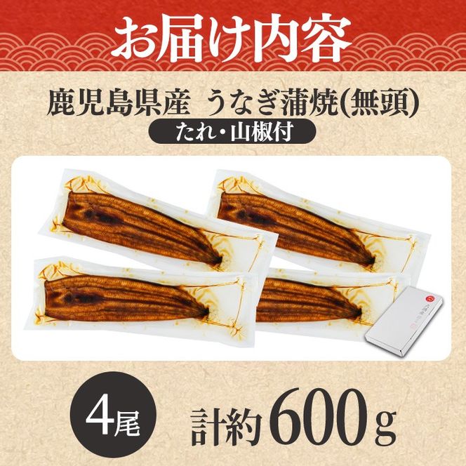 【0204348a-2611】＜11月上旬発送予定＞東串良町のうなぎ蒲焼(無頭)(4尾・計約600g・タレ、山椒付) うなぎ 高級 ウナギ 鰻 国産 蒲焼 蒲焼き たれ 鹿児島 ふるさと 人気 【アクアおおすみ】