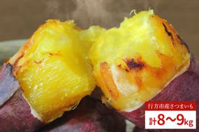 EY-41　紅はるか冷凍焼き芋50袋！！合計8～9kg(電子レンジ対応袋使用)イベント・催事等にも！