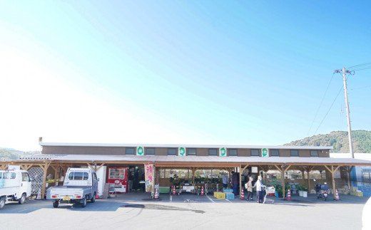 緑新鮮市の「和の食」あいなんの便り