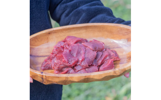 天然ジビエ肉（冷凍）コロコロ 500g(シカ肉)【クール便】ジャーキー シカ 燻製 ペットフード  肉鹿 おやつ  犬用 ドッグフード 生肉【wmk946-gibi-korokoro】