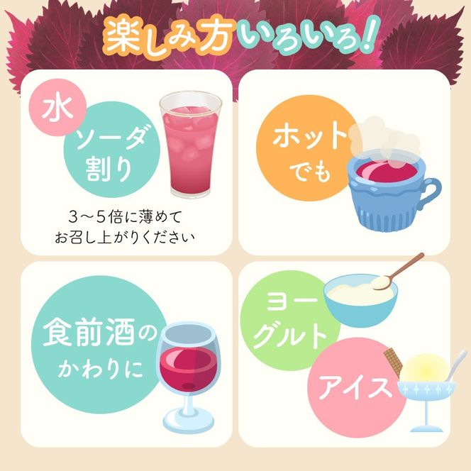 『一番摘み赤しそドリンク～18年熟成梅寿酢仕立て～』 300ｍｌ１本 一番摘み赤しそ 国産梅 無添加 こだわり 飲料 18年以上 熟成 エキス 清涼飲料水 食前 シロップ アイスクリーム 七福醸造 H001-120