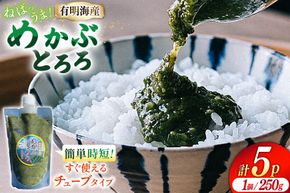 AE140有明海産 無添加めかぶとろろ（250g×5パック）