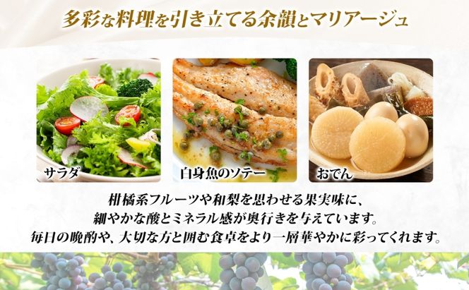 オレンジワイン オレンジSB 2024 750ml×1本 クラフトワイン ワイン お酒 果実酒 ソーヴィニヨン・ブラン 辛口 無濾過 自然酵母  晩酌 贈り物 ギフト つがるワイナリー 青森県 鶴田町