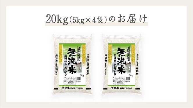 《 令和7年産 》茨城県産 無洗米 コシヒカリ 20kg ( 5kg × 4袋 ) こしひかり 米 コメ こめ 五ツ星 高品質 白米 精米 時短 期間限定 [AC029us]