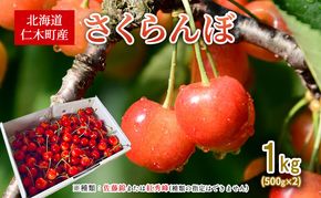 先行受付 北海道 仁木町産 さくらんぼ 1kg （500g×2） 佐藤錦または紅秀峰 果樹 サクランボ チェリー フルーツ 果物 果物類 ギフト 仁木町 仁木 [くくり農園]
