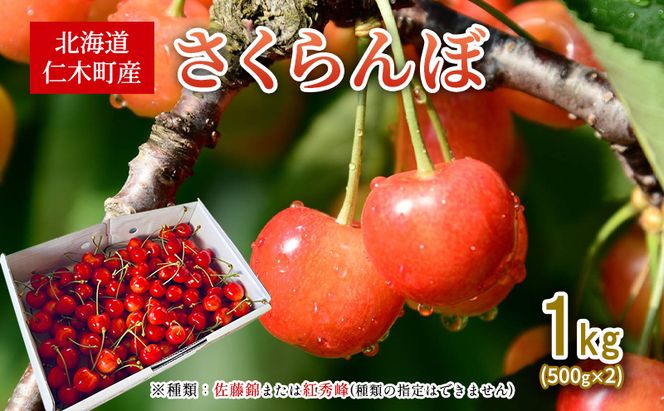 先行受付 北海道 仁木町産 さくらんぼ 1kg （500g×2） 佐藤錦または紅秀峰 果樹 サクランボ チェリー フルーツ 果物 果物類 ギフト 仁木町 仁木 [くくり農園]