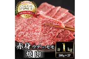宮崎牛 赤身カット 焼肉 (計1kg・500g×2) 焼肉 お肉 牛肉 黒毛和牛 宮崎牛 ブランド和牛 冷凍 国産 モモ ウデ 宮崎県産 【YM-24】【YAMATO株式会社】