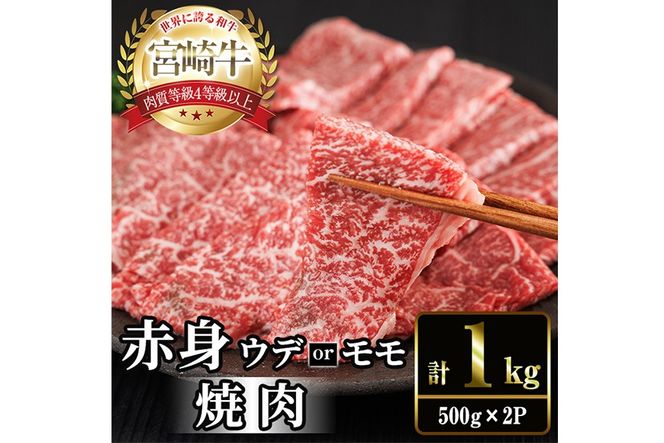 宮崎牛 赤身カット 焼肉 (計1kg・500g×2) 焼肉 お肉 牛肉 黒毛和牛 宮崎牛 ブランド和牛 冷凍 国産 モモ ウデ 宮崎県産 【YM-24】【YAMATO株式会社】