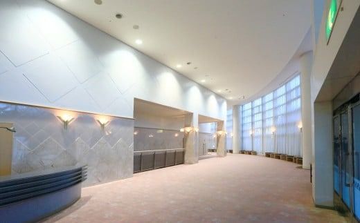 碧南市芸術文化ホール「１/4 ニューイヤー・オーケストラコンサート」チケット 音楽 クラシック 楽器 演奏 ソプラノ 歌手 新年 初笑い ホール コンサート チケット 券 H202-001