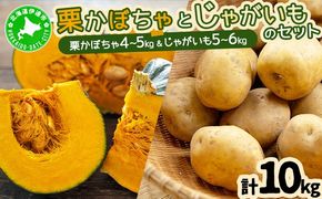北海道 かぼちゃ じゃがいも セット 合計10kg 先行受付 ジャガイモ 馬鈴薯 ポテト 芋 イモ カボチャ パンプキン 緑黄色野菜 甘い ほくほく 農作物