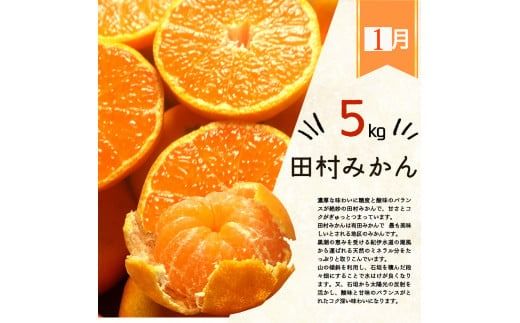 【3か月定期便】人気のみかんを集めた！旬の柑橘定期便 田村みかん・ポンカン・清見オレンジ【tkb111】