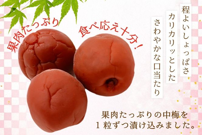 梅干し 梅恋しポット 30個入 [山梨農産食品 山梨県 韮崎市 20743520] 梅干 うめぼし 個包装 梅 漬物 つけもの おやつ おつまみ 熱中症予防