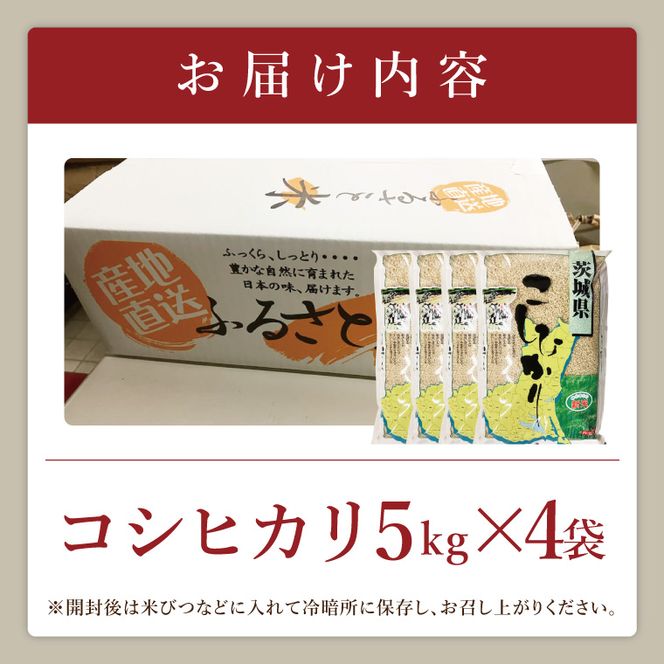 【数量限定】R7年産取手市産コシヒカリ 玄米20kg（5kg×4袋）|お米 米 こしひかり コシヒカリ 玄米 茨城県 取手市（BS015）