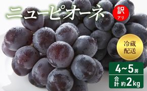 【2026年 先行予約】【訳あり品】 ニューピオーネ 4～5房 合計約2kg 冷蔵配送 ぶどう 葡萄 フルーツ 果物 岡山 岡山のぶどう 食後 デザート 産地直送 大粒 食べ応え ちょうどよい甘さ 種無し 