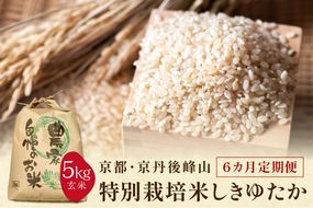 【6ヶ月定期便】2026年産 京都・京丹後峰山 特別栽培米しきゆたか 5kg 【玄米】米 定期便 玄米 しきゆたか　MF00066