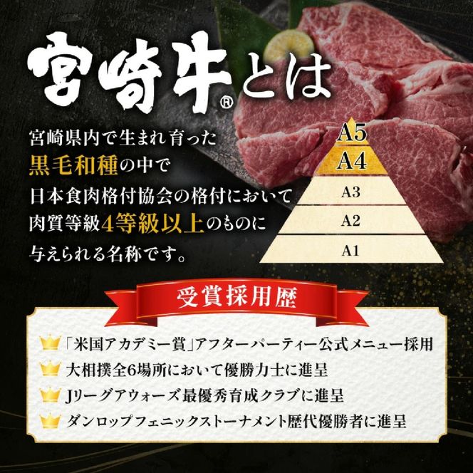 【数量限定】ブランド黒毛和牛宮崎牛ヒレ塊 500g　（宮崎牛 黒毛和牛 和牛 ヒレ）
